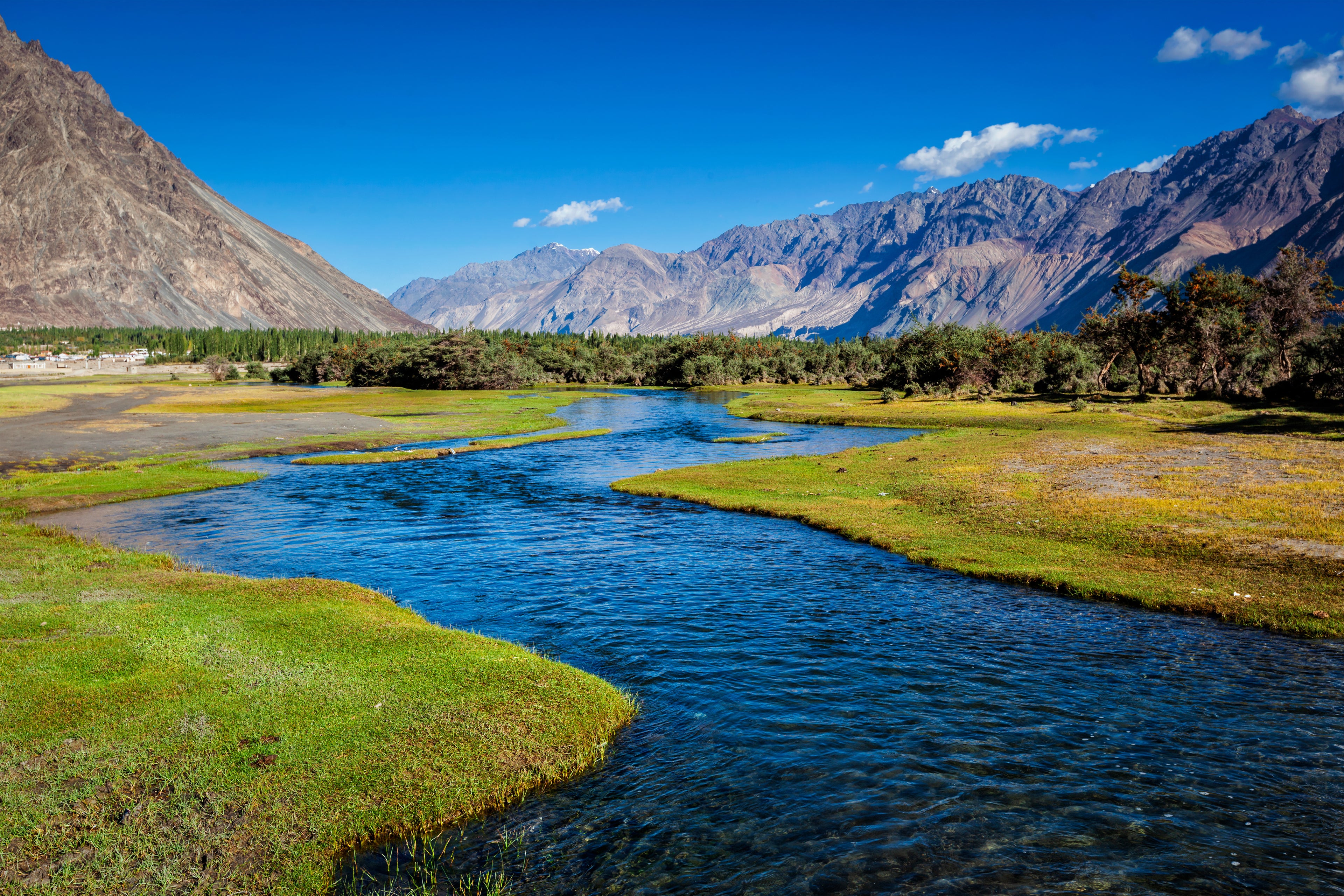 Himalayan valley with flowing river and mountains in Ladakh — natural habitat of wild sea buckthorn.